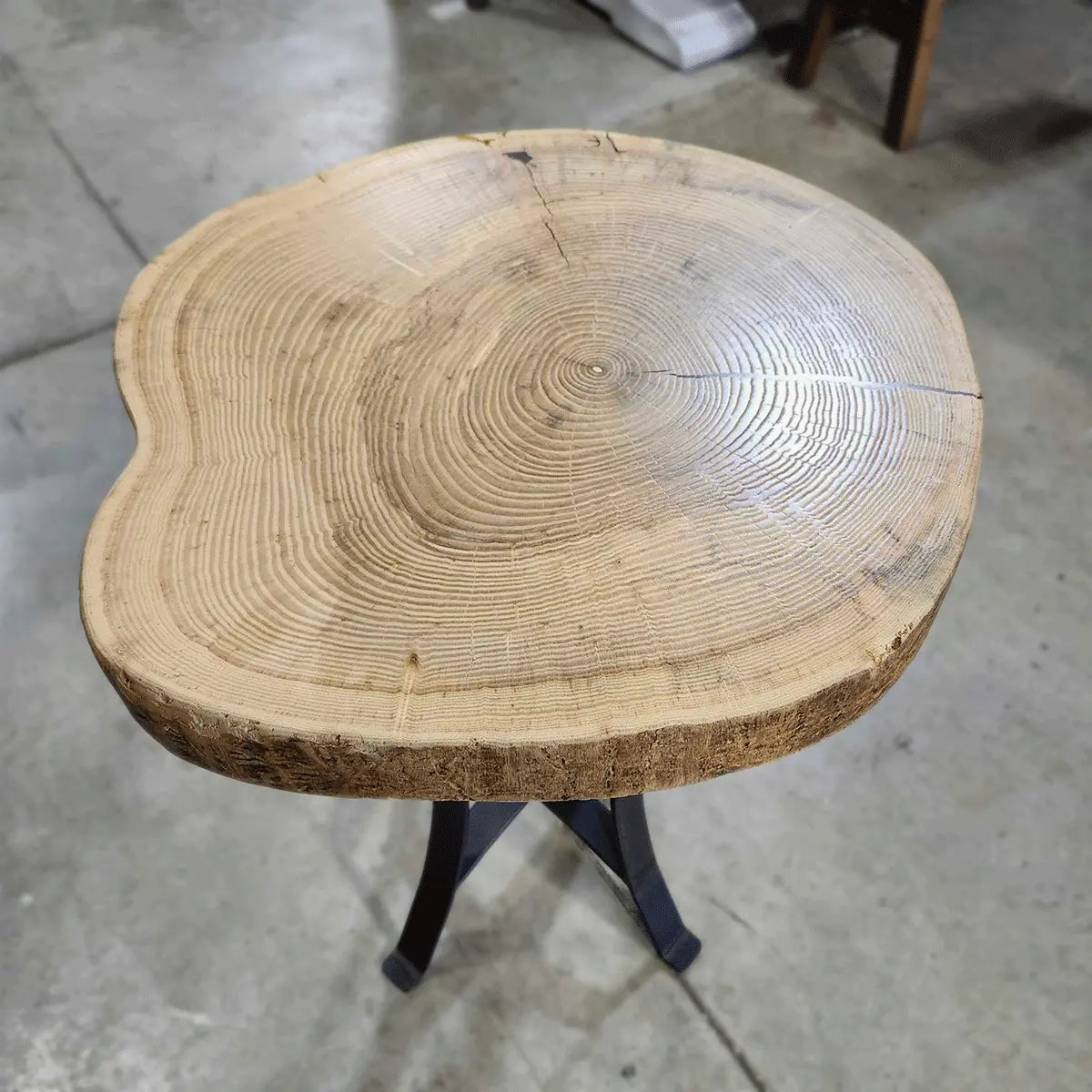 21" Live Edge Ash Wood End Table