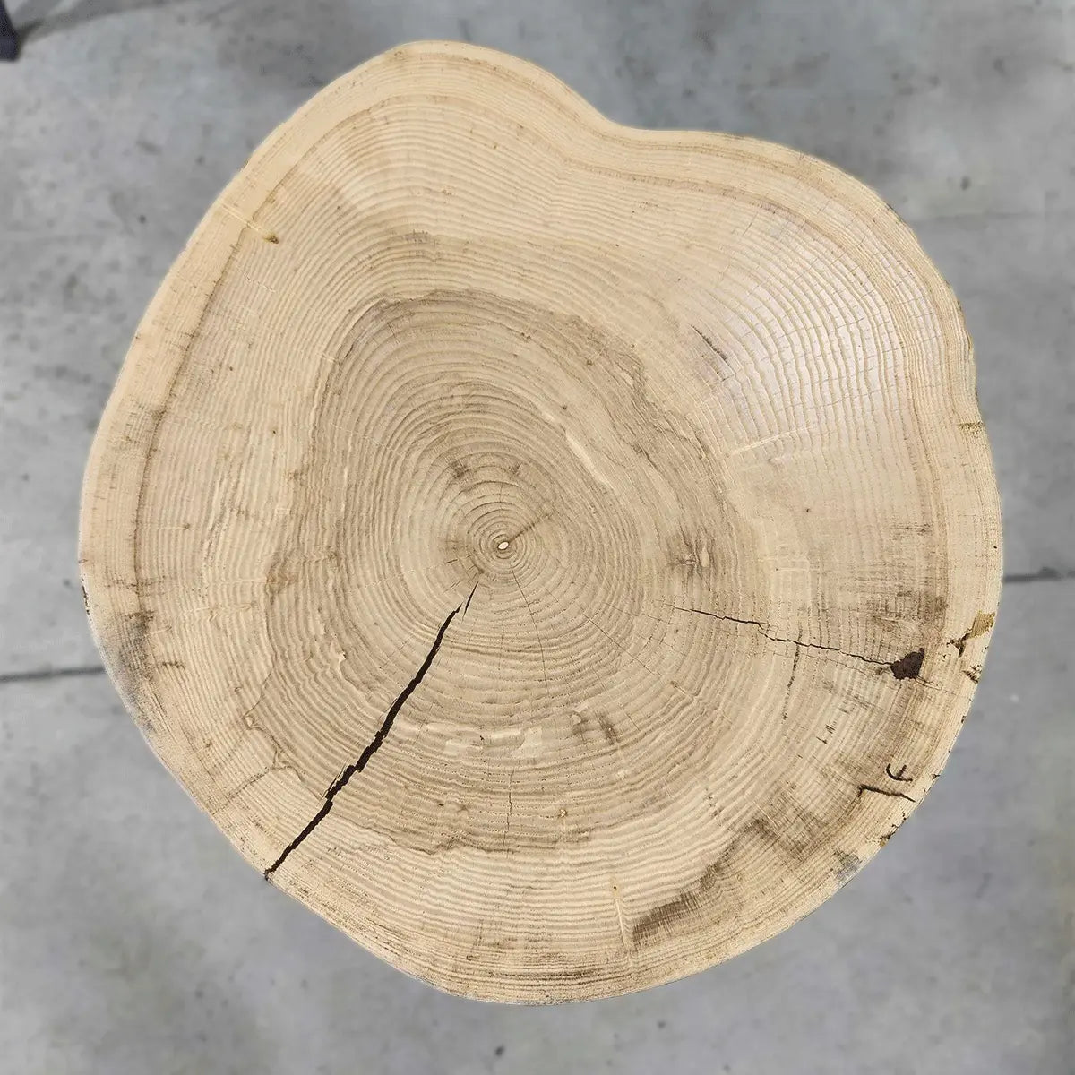 21" Live Edge Ash Wood End Table