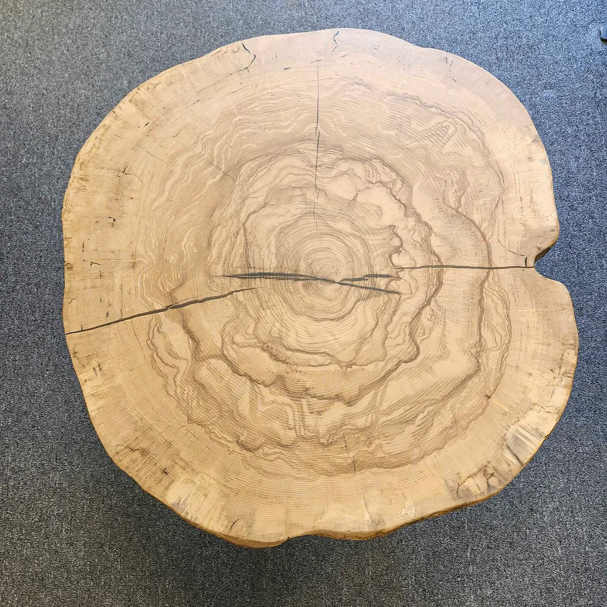 44" Live Edge Ash Coffee Table