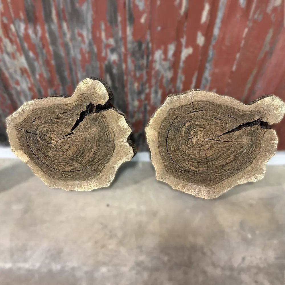 Two unevenly cut tree trunks stand on concrete before a red-gray weathered wooden wall.