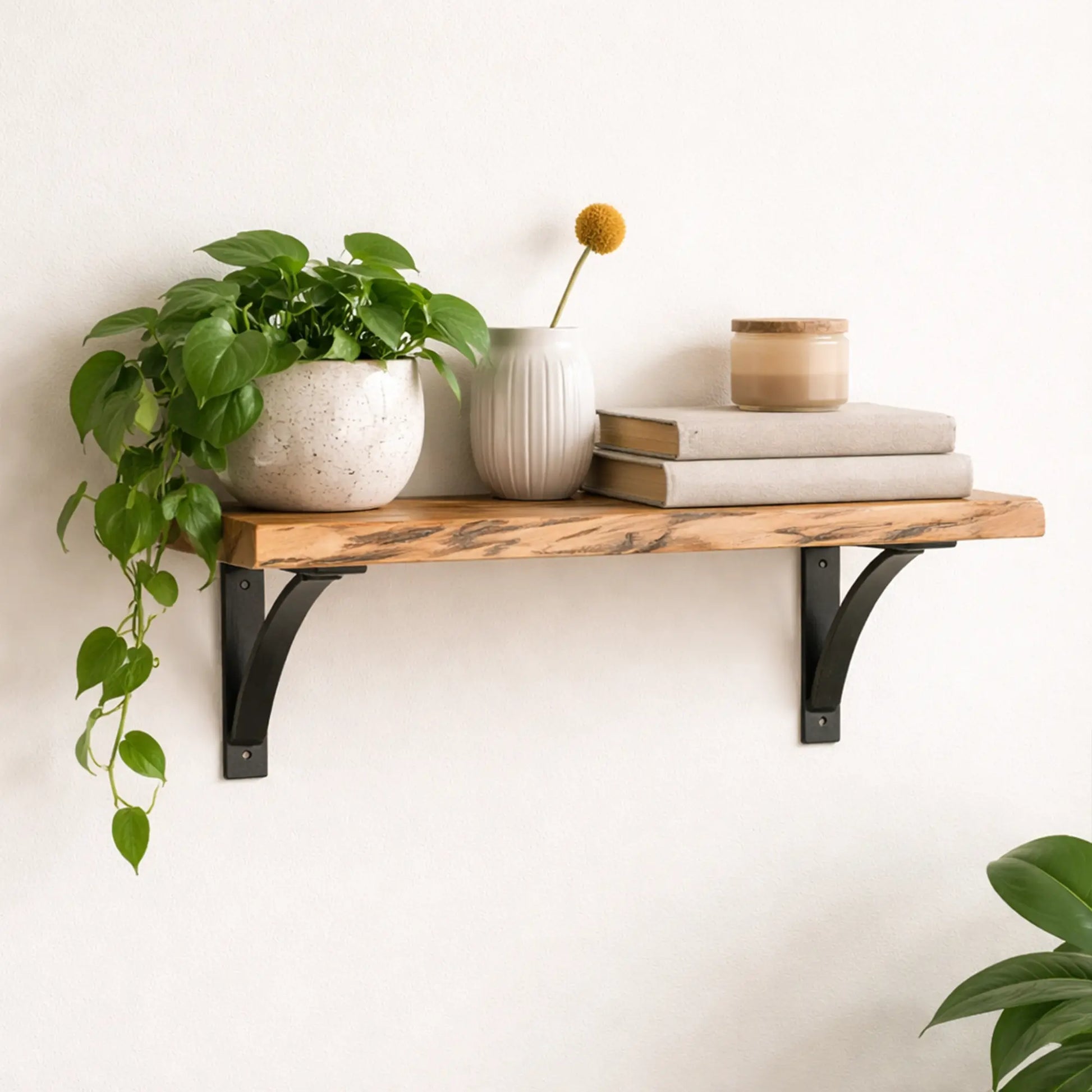 Live Edge Maple Wood Shelf for Wall